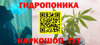 стафф Ставрополь