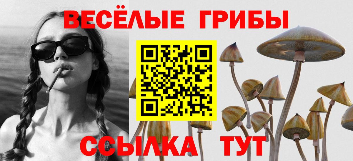 Псилоцибиновые грибы Psilocybine cubensis Павлово